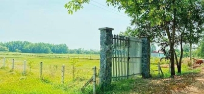 Bán gấp 3000m2 SHR 