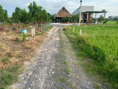 cần bán gấp 350m2 đất, sổ hồng riêng 