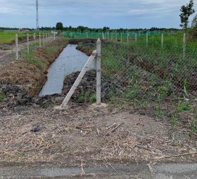 Lô đất vườn, Mặt tiền rạch view sông Nhà Vuông, Bình Mỹ, Củ Chi 