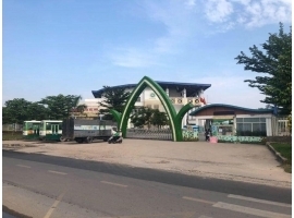 HÀNG HOT: ĐẤT MẶT TIỀN ĐỖ VĂN DẬY, GẦN NHÀ THIẾU NHI, HÓC MÔN 